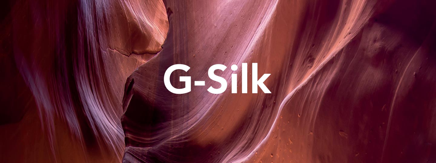 Bannière G-Silk