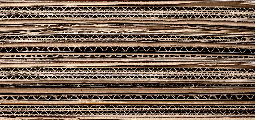 Cycle_Vie_Carton_01.jpg