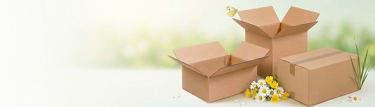 Caisses carton