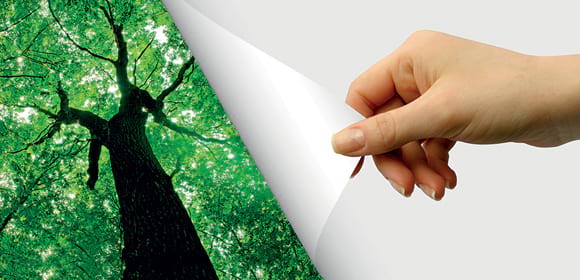 img-home-ecoresponsable.jpg