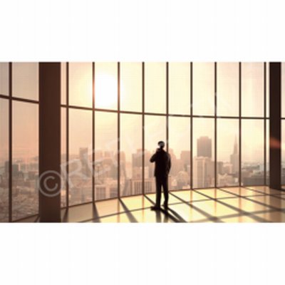 Photo produit Film Solaire protection 52% PET (IR50)