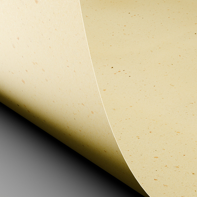 Curious Particles Enveloppes