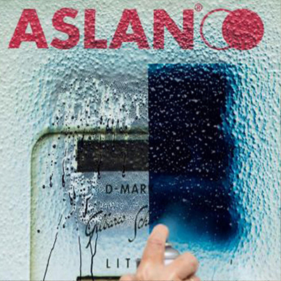 Aslan SL 99