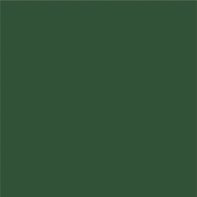Avery 800 brillant 811 vert forêt adhésif permanent 1230 mm x 50 m(811/1.23)