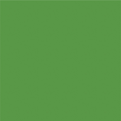 Avery 800 brillant 813 vert gazon adhésif permanent 1230 mm x 50 m(813/1.23)