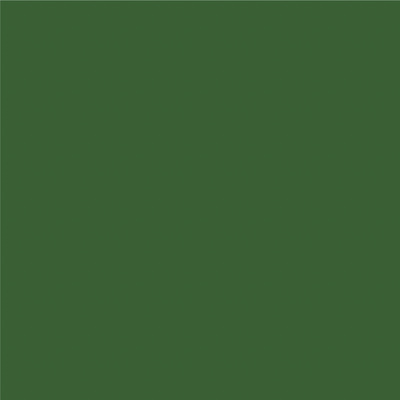 Avery 800 brillant 878 vert mousse adhésif permanent 1230 mm x 50 m(878/1.23)