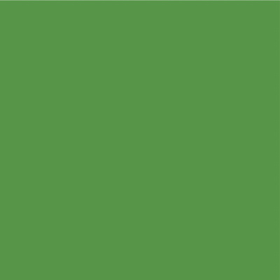 Avery 800 brillant 879 vert vif adhésif permanent 1230 mm x 50 m(879/1.23)