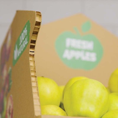Coala Air Board 2D - Carton alvéolaire