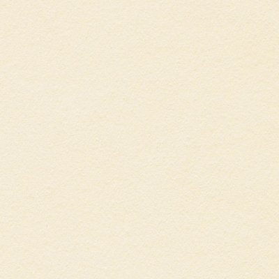 Papier Conqueror Bamboo Crema 350 g/m² 700 mm x 1000 mm Paquet de 100 feuilles