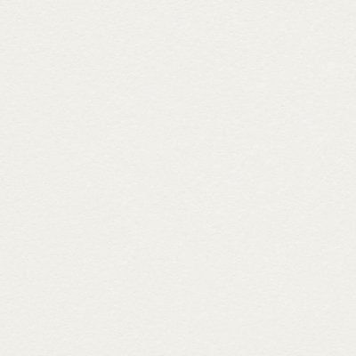 Papier Conqueror Wove Dry Toner Blanc 100 g/m² 450 mm x 320 mm Paquet de 250 feuilles