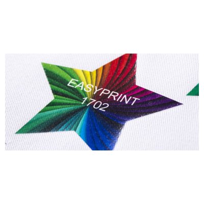 Logo Easyprint