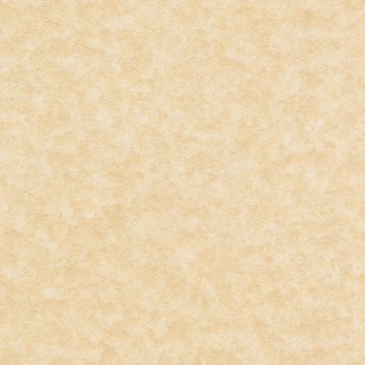 Papier Keaykolour Original i-Tone® Parchment Chamois 250g/m² 460mmx320mm Paquet de 100 feuilles