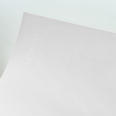Papier Opale Wove Pure White filigrane 100g/m² 450 mm x 640 mm