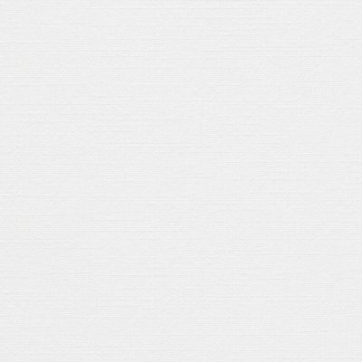 Papier Opale Toilé Référence Blanc Absolu filigrané 150 g/m²  700 mm x 1000 mm