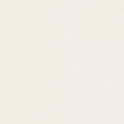 Papier de création Rives Dot Blanc Naturel 120 g/m² 700 mm x 1000 mm Paquet de 250 feuilles