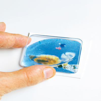 Doming Emblem Rectangulaire