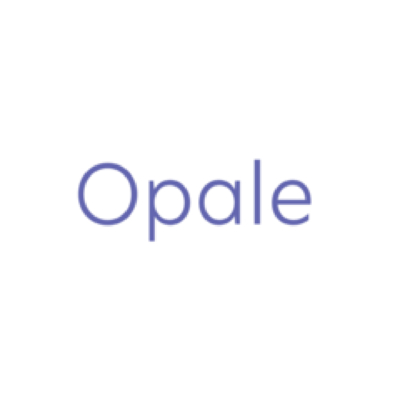 Logo Opale Wove Envelopes