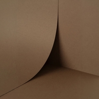 Papier Keaykolour Cappuccino 300g/m² 700mm x 1000mm Paquet de 100 feuilles
