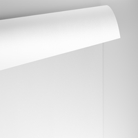 Papier Conqueror CX22 Diamond White avec filigrane 100g/m² 450mm x 640mm Paquet de 500 feuilles