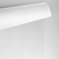 Papier Conqueror Laid Brilliant White avec filigrane 100g/m² 450mm x 640mm Paquet de 500 feuilles