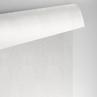 Papier Conqueror Laid High White avec filigrane 100g/m² 450mm x 640mm Paquet de 500 feuilles