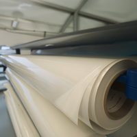 Avery DOL 2460 Gloss brillant transparent adhésif permanent 1370 mm x 50 m(DOL2460/1.37)
