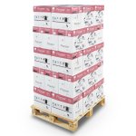 Papier Pioneer Premium Blanc Cleverbox de 2500 feuilles A4 80 g/m²