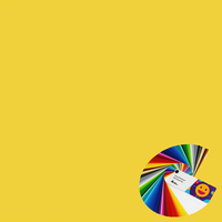 Avery 504 EF Gloss Primrose Yellow 1230mm x 50m
