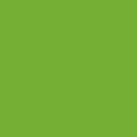 Film de découpe 3M Scotchcal 100 brillant adhésif permanent 1220 mm x 50 m 100-047 LIGHT GREEN