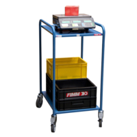 Photo Servante d'atelier 250 kg, 2 plateaux