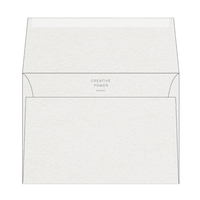 Enveloppe C5 Curious Metallics Ice Silver 120 g/m² Boîte de 250