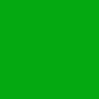 Avery 700 brillant 713 grass green adhésif permanent 615 mm x 50 m(713/0.615)