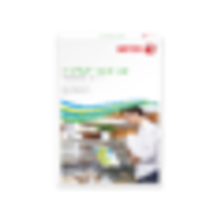 Adhésif Synthétique laser Laser Permanent Blanc Mat A4 240 g/m²  Xerox Premium NeverTear 50 feuilles