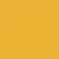 Avery 800 brillant 856-01 Dark Yellow adhésif permanent 1230 mm x 50 m(856-01/1.23)