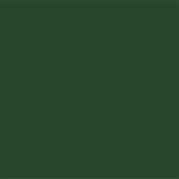 Avery 900 brillant 916-01 Dark Green adhésif permanent 1230 mm x 25 m(916-01/1.23)