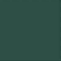 Avery 900 brillant 945 vert sapin adhésif permanent 1230 mm x 25 m(945/1.23)