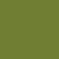 Avery Supreme Wrapping Film brillant Pearl Light Green adhésif permanent 1520 mm x 25 m(BP2890001)