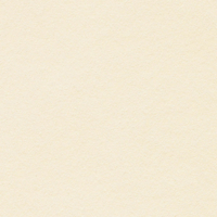 Papier Conqueror Bamboo Crema 350 g/m² 700 mm x 1000 mm Paquet de 100 feuilles