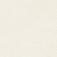 Papier Conqueror Bamboo Natural White 100 g/m² 450 mm x 640 mm Paquet de 500 feuilles