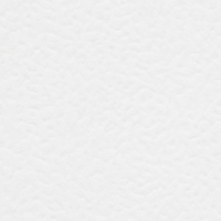 Papier Conqueror Contour Brillant White 100 g/m² 450 mm x 640 mm avec filigrane Paquet de 500 feuilles