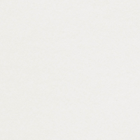 Papier Conqueror 25% recycled CX22 Lys 100 g/m² 450 mm x 640 mm avec filigrane Paquet de 500 feuilles