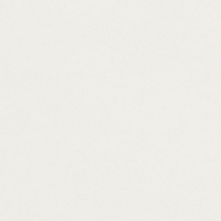 Papier Conqueror CX22 High White avec filigrane 100g/m² 450mm x 640mm Paquet de 500 feuilles