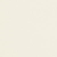Papier Conqueror CX22 Oyster 100 g/m² avec filigrane 450 mm x 640 mm Paquet de 500 feuilles