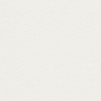 Papier Conqueror Stonemarque Blanc 100 g/m² 450 mm x 640 mm avec filigrane Paquet de 500 feuilles