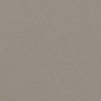 Papier Conqueror Wove Cartridge 300 g/m² 700 mm x 1000 mm Paquet de 100 feuilles