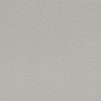 Papier Conqueror Wove Pencil 300 g/m² 700 mm x 1000 mm Paquet de 100 feuilles
