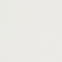 Papier Curious Metallics Perle Fine 120  g/m²  700 mm x 1000 mm Paquet de 250 feuilles