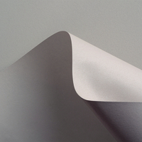 Papier Curious Matter Andina Grey 270g/m² 700 mm x 1000 mm Paquet de 100 feuilles