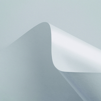 Papier Curious Matter Digital Goya White 135g/m² 750mm x 530mm Paquet de 200 feuilles