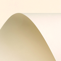 Papier Curious Metallics Cryogen White 300g/m² 720mm x 1020mm Paquet de 100 feuilles